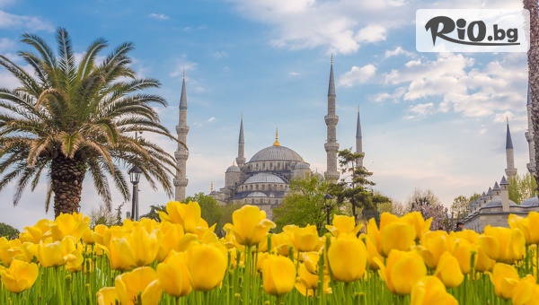 Екскурзия до Истанбул за Фестивала на Лалето през Април! 3 нощувки със закуски + транспорт и посещение на Одрин, от Спарк Травел