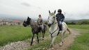 2 часа конен поход с водач на Витоша, от Конна база София - Юг