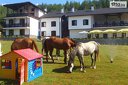 Конна езда сред природата за 1 час с 30% отстъпка от Приключенска къща & конна база Русалиите край Разлог