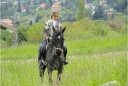4-дневно обучение по конна езда + 1 преход по маршрут по избор, от Конна база София - Юг