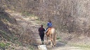Вълнуващ урок по конна езда - 20 или 30 минути в гората или на манеж, от Конна база Нова Звезда
