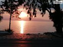 На море на първа линия на о-в Тасос с дати по избор! 7 нощувки със закуски и вечери в Marti Resort + възможност за транспорт от Йонека турс