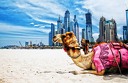 Самолетна екскурзия до Дубай! 7 нощувки със закуски + летищни такси, багаж, трансфер
