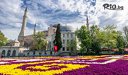 Посетете Фестивала на лалето в Истанбул! 3 нощувки със закуски в хотел 3* + автобусен транспорт + посещение на Одрин, от Юбим