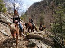 Едночасова разходка с кон по еко пътека Каньон на Водопадите с включено обучение и фотосесия, предоставено от Конна езда Ризов