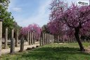 5-дневна екскурзия до Древна Гърция и мистичния Пелопонес! 4 нощувки със закуски и една вечеря + автобусен транспорт от Дорис Травел