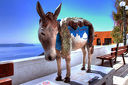 Септемврийски празници на остров Санторини! 3 нощувки със закуски в King Thiras Hotel + самолетен билет и летищни такси от Солвекс