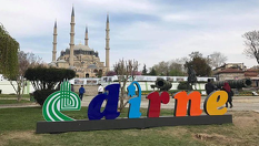Фестивала на лалетата в Истанбул