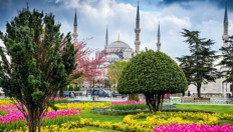 Фестивала на лалето в Истанбул