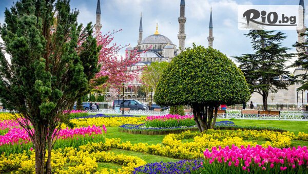 Екскурзия за Фестивала на лалето в Истанбул! 2 нощувки със закуски + автобусен транспорт, пътни и магистрални такси и водач + посещение на Одрин, от Рикотур