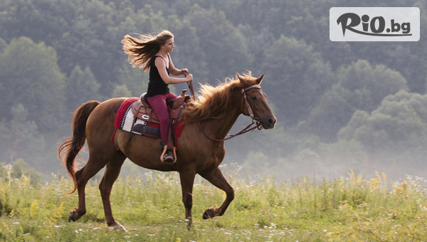 4-дневно обучение по конна езда + 1 преход по маршрут по избор, от Конна база София - Юг