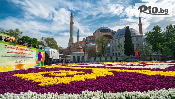 LAST MINUTE Екскурзия за Фестивала на лалето в Истанбул! 2 нощувки със закуски в хотел 3* + автобусен транспорт, екскурзовод и посещение на Одрин, от ТА Поход