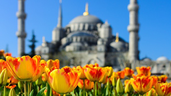 Ранни записваиня до 7 Април за Фестивалът на лалето в Истанбул! 3 нощувки, закуски + Египетския пазар, Гигантския аквариум Sea Life, МОЛ Форум Истанбул + транспорт, от Дорис Травел