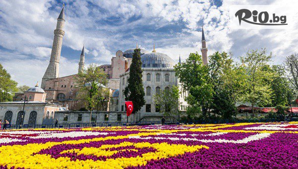 За Фестивала на лалето в Истанбул! 3 нощувки със закуски + автобусен транспорт и посещение на Одрин, от Дениз Травел