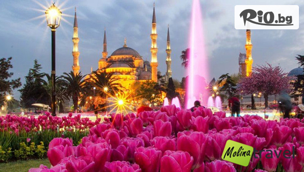 Посетете Фестивала на лалето в Истанбул през Април! 3 нощувки, закуски в хотел 3* + екскурзовод, транспорт и възможност за отпътуване от Враца, Мездра и Ботевград, от Молина Травел
