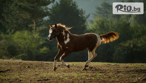 Конна езда сред природата за 1 час с 30% отстъпка, от Приключенска къща & конна база Русалиите край Разлог