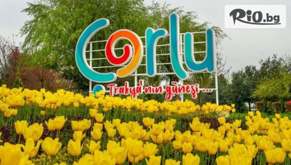 Джуанна Травел - thumb 3