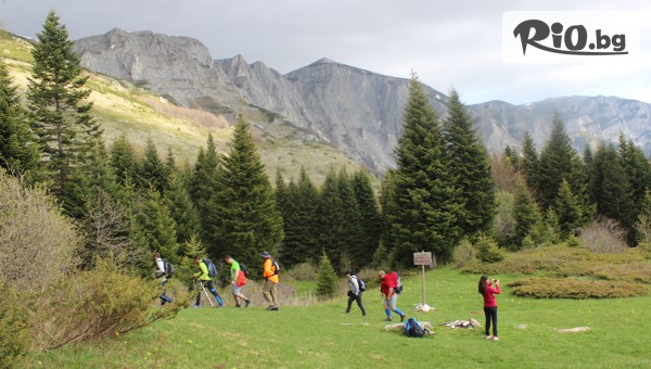 Вила Минерал 56 3* - thumb 5