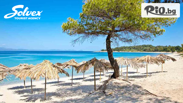 Солвекс - thumb 2