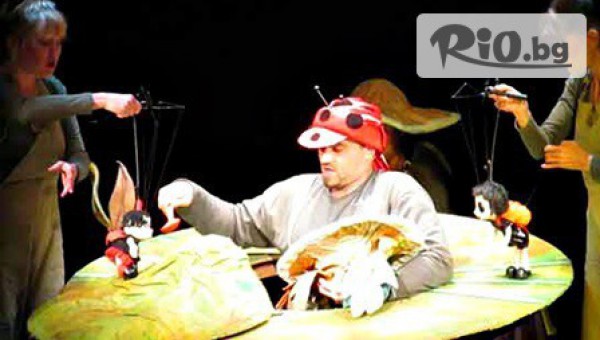 Куклен театър Русе - thumb 3