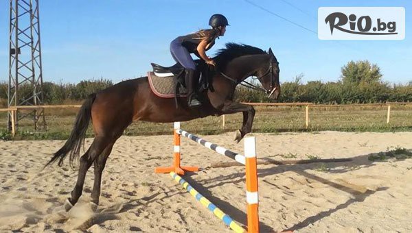 Конна база Тара - thumb 2