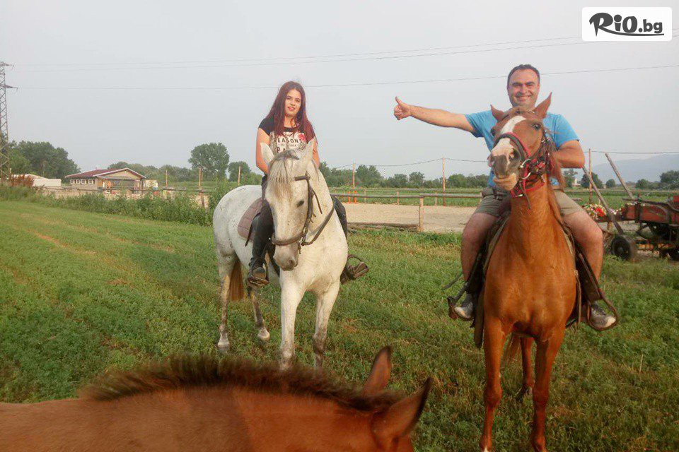 Конна база Тара - thumb 5 Конна база Тара - thumb 5