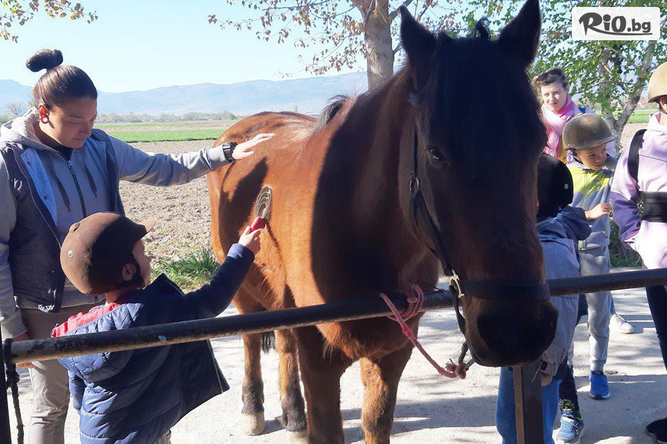 Конна база Тара - thumb 17 Конна база Тара - thumb 17