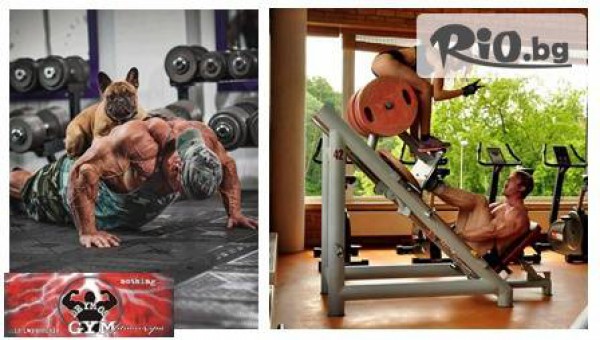 Deymos Gym - thumb 4