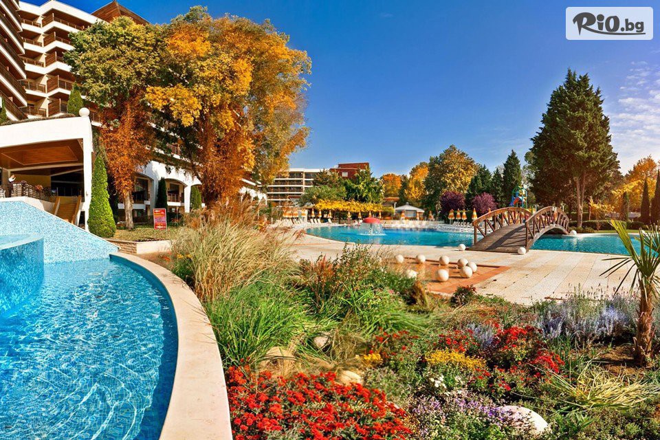 Flamingo Grand Hotel & SPA - thumb 13