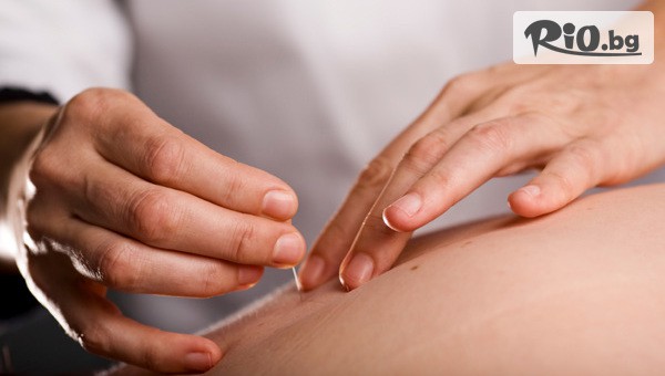 New Body Factory - thumb 3