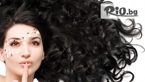 Студио-V - thumb 3