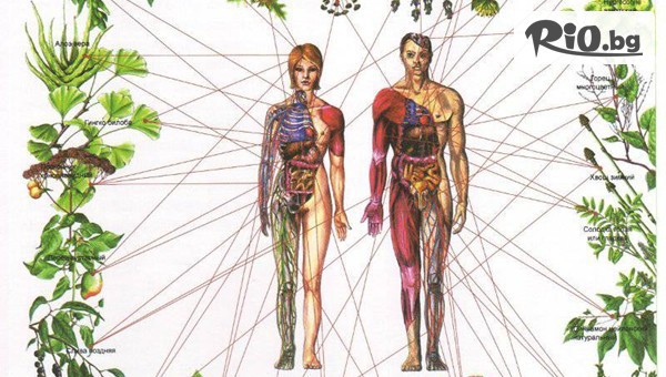 Център Анима - thumb 2