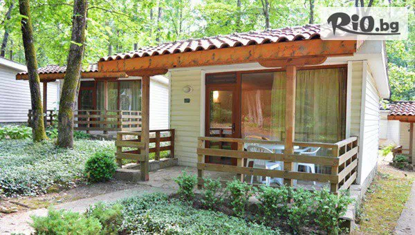 Вили Холидей - thumb 2