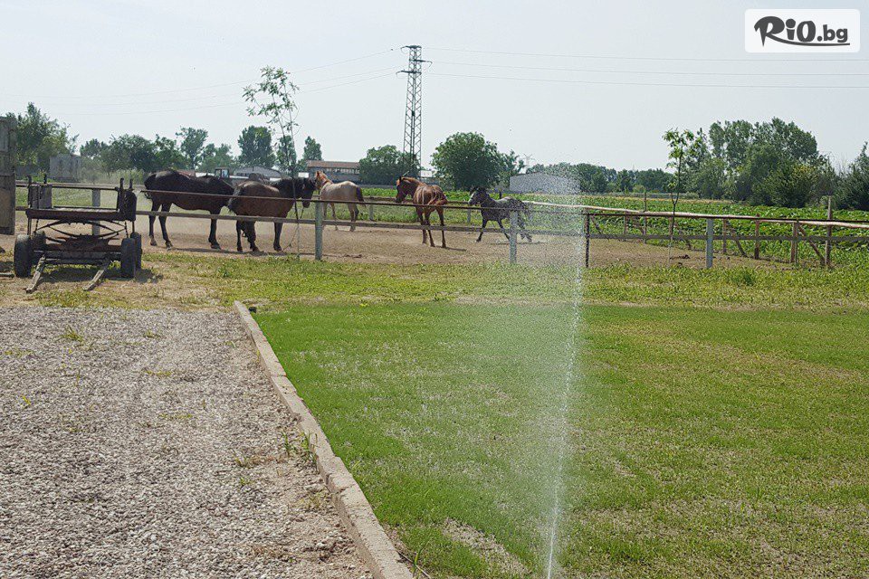 Конна база Тара - thumb 1 Конна база Тара - thumb 1