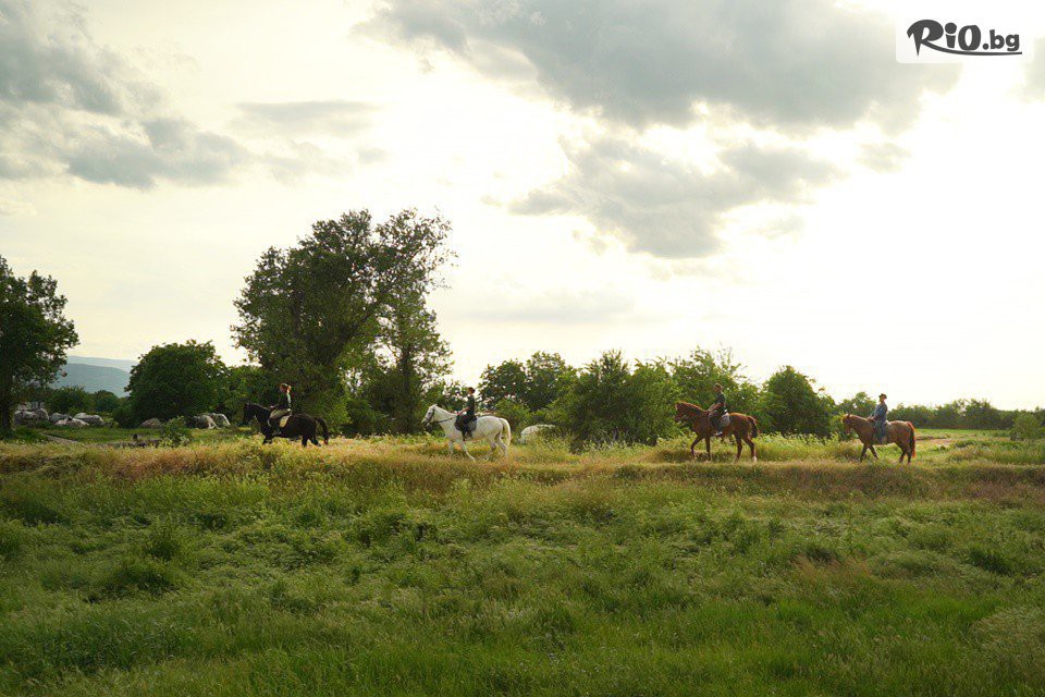 Конна база Тара - thumb 3 Конна база Тара - thumb 3