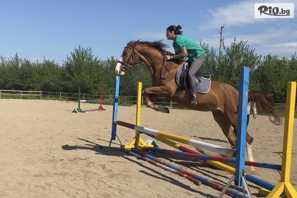 Конна база Тара - thumb 8 Конна база Тара - thumb 8