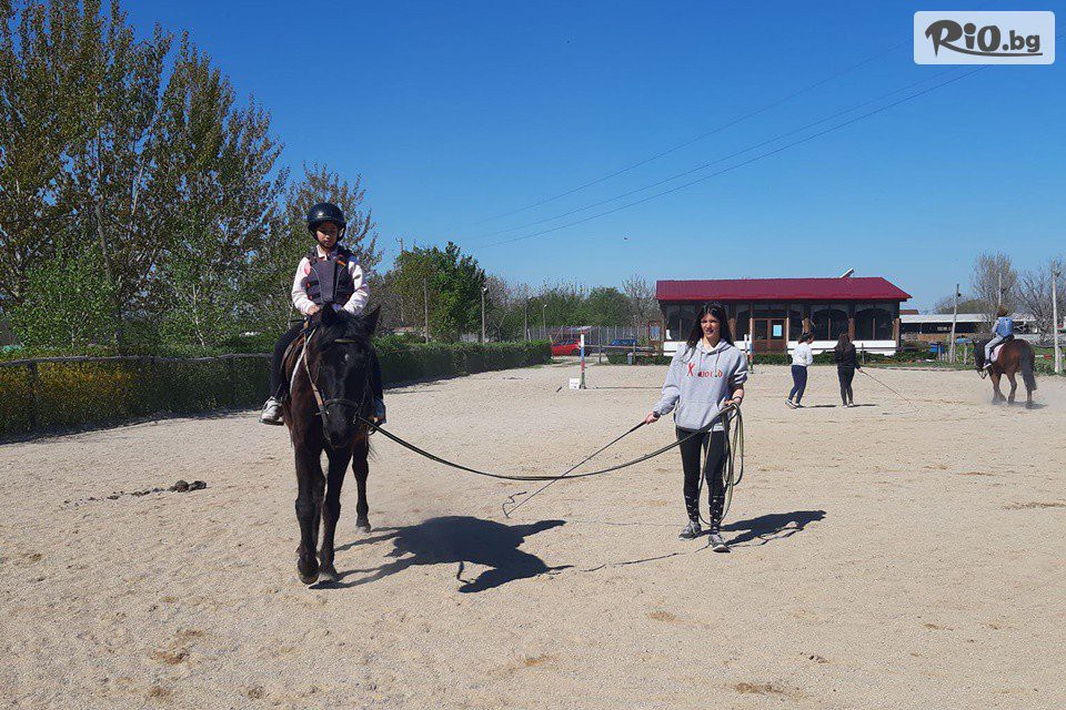 Конна база Тара - thumb 9 Конна база Тара - thumb 9