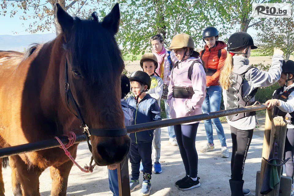 Конна база Тара - thumb 10 Конна база Тара - thumb 10