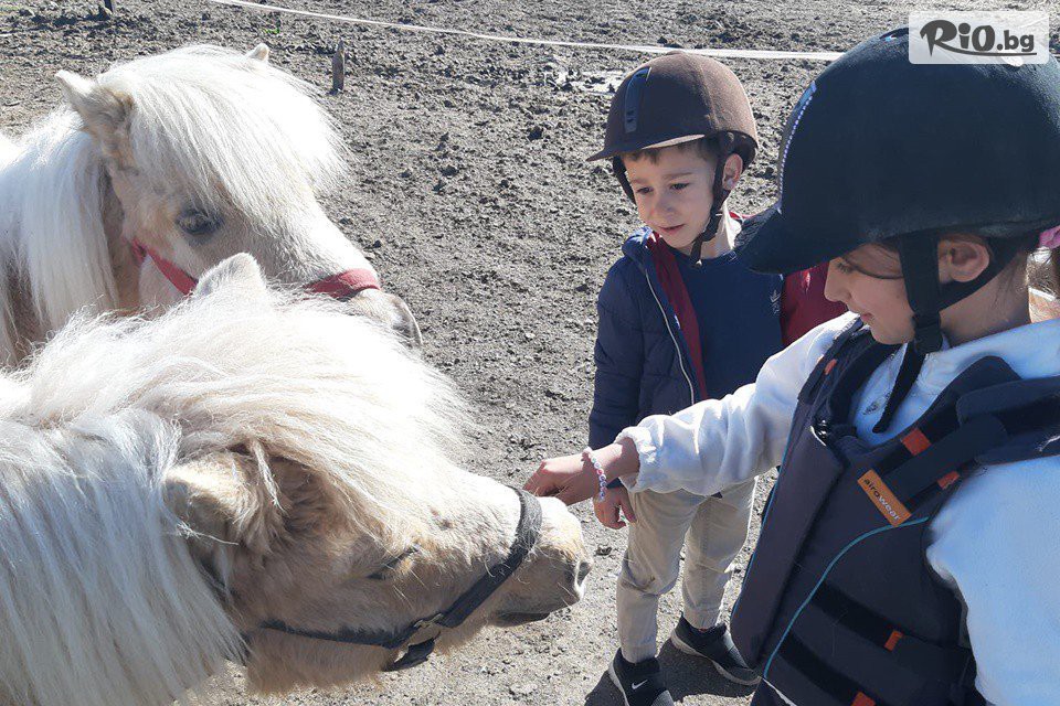 Конна база Тара - thumb 14 Конна база Тара - thumb 14