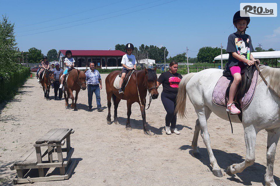 Конна база Тара - thumb 16 Конна база Тара - thumb 16