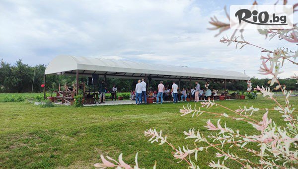 Конна база Тара - thumb 7