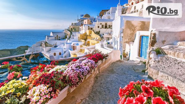 Солвекс - thumb 2