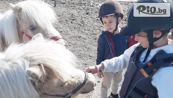 Конна база Тара - thumb 8