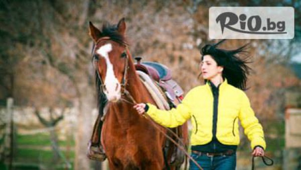 Конна база Ездул - thumb 2