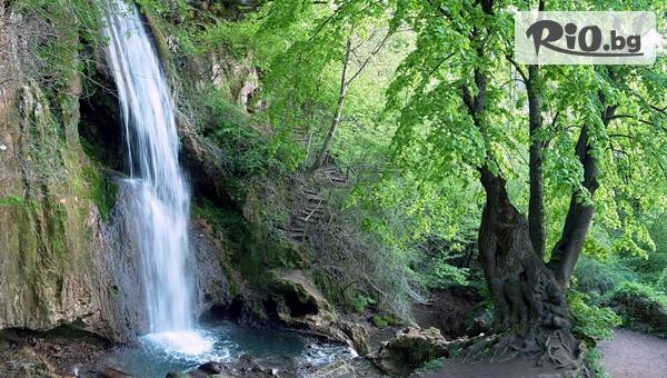 Джуанна Травел - thumb 3