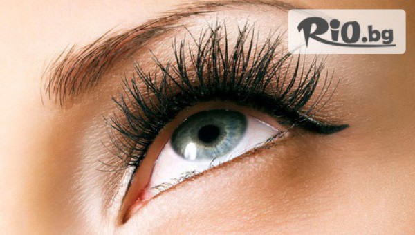 Beauty Studio Escala - thumb 4