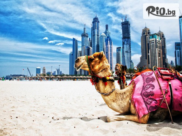 Премио Травел - thumb 5 Премио Травел - thumb 5