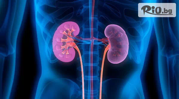 СМДЛ Кандиларов - thumb 2