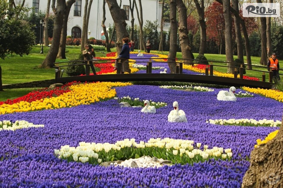 ТА Поход - thumb 7 ТА Поход - thumb 7