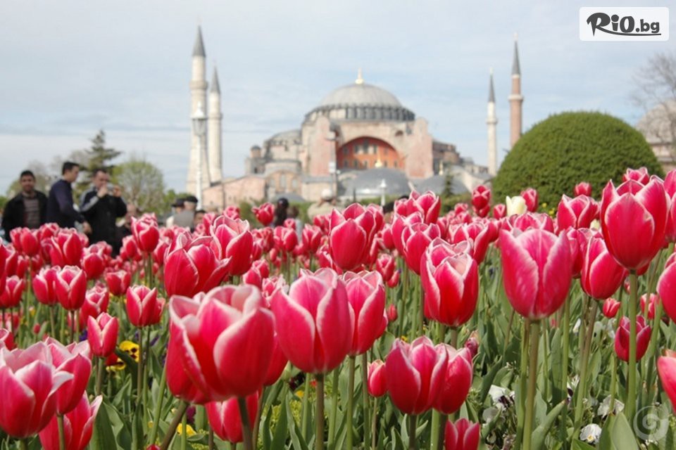 ТА Поход - thumb 10 ТА Поход - thumb 10